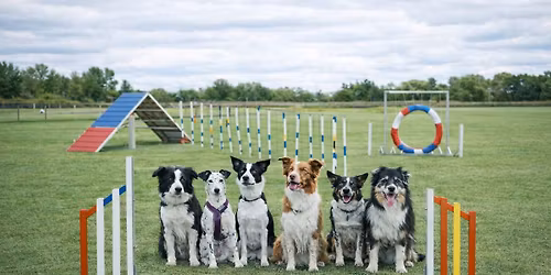 Chlumeck\u00fd Lv\u00ed\u010dek 2026- D\u011b\u010d\u00edn - Vilsnice