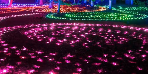 Lightscape at Brooklyn Botanic Garden