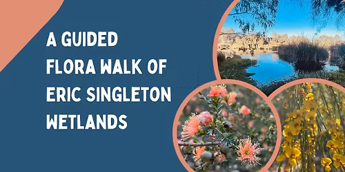 A guided flora walk of Eric Singleton Wetlands