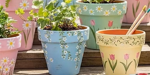 Teracotta Pot Paint & Plant