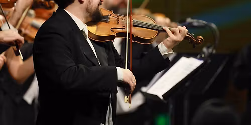 Vier Jaargetijden Vivaldi - Zwolle