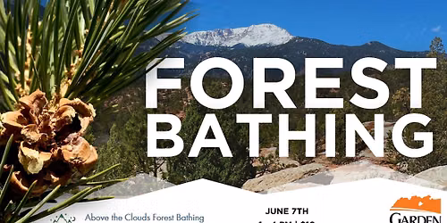 Forest Bathing at Garden of the Gods