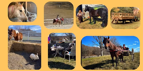 Candlelight Farms Harvest Festival 