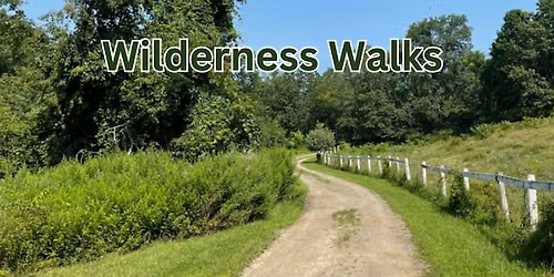 Wilderness Walk