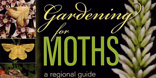 Blue Week: Mysterious Moths with Chelsea  Gottfried