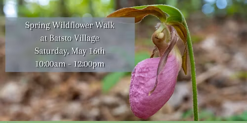 Spring Wildflower Walk at Batsto Village