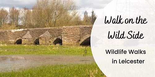 A Walk on the Wild Side - Aylestone Meadows South and Great Central Way