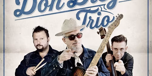 Don Diego Trio @ De Cactus (Rockabilly, Surf, Rock&Roll, Itali\u00eb)