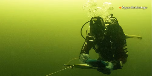 \u00d6ppen f\u00f6rel\u00e4sning: Havet \u2013 en arkeologisk skattkammare