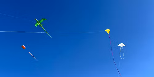 Chattanooga Kite Fly and Picnic