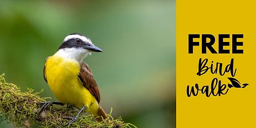 Free Guided Bird Walk