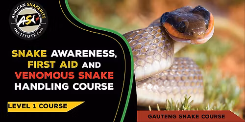 Snake Awareness First aid for Snakebite, Venomous Snake Handling