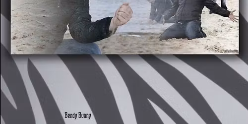 Charlottesville EDS\/POTS\/MCAS Meetup - In person