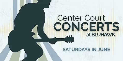 Surfin' Safari - Beach Boys Tribute | Center Court Concerts  at Bluhawk