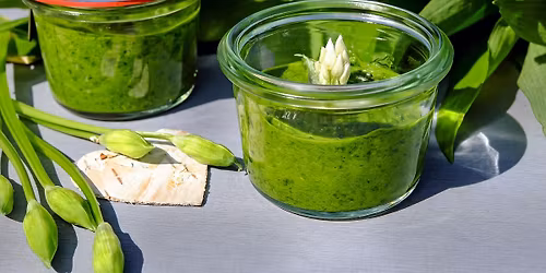 Atelier de cuisine sauvage : Printemps, \u00e9veil et vitalit\u00e9