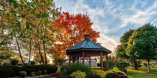 Orland Park Village Board Meeting-Residents Unite: Speeding, Racing & Noise Issues on LaGrange Road