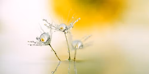 Tango Fusion Novemberdans