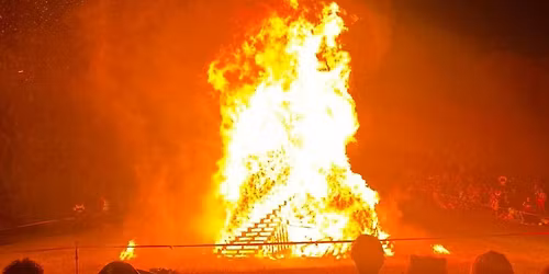 Reading burning turtle