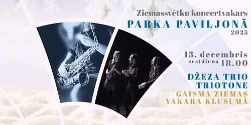 Ziemas koncertvakars Parka Paviljon\u0101 || d\u017eeza trio TRIOTONE