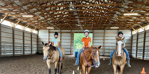 Black Friday Horsemanship Workshop