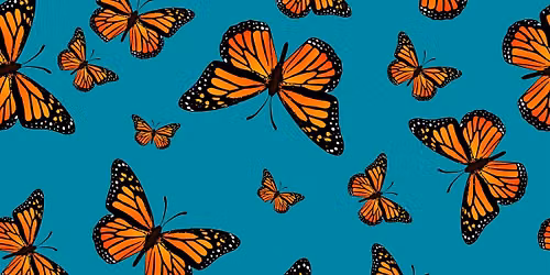 Mindblowing Monarchs! - Free Children's Program (Recommended for Ages 3-5)