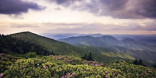 Introduction to Appalachian Ecology
