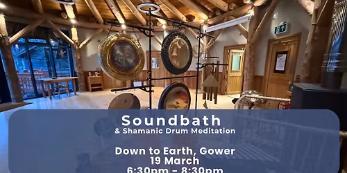 Soundbath and Shamanic Drum Journey at Down to Earth Project