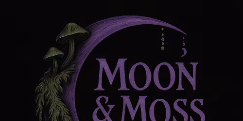 Reiki by Stevie of Moon & Moss -- 30 minute session $20