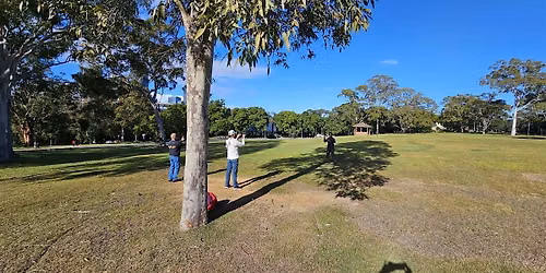 Tao Te Ching\/Zen studay\/discussion in Parramatta Park on Sats (Free)