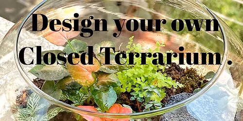 Terrarium workshop
