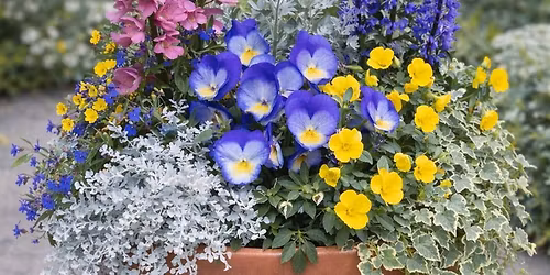 Bemis Farms Nursery Spring Bowl Workshop 