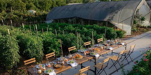 Foraged Dinner at Finley Farms