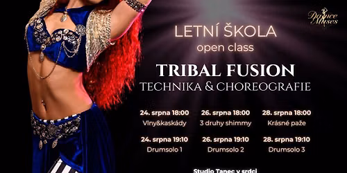 Letn\u00ed \u0161kola Tribal Fusion
