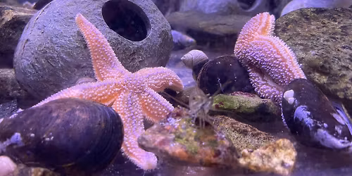 Opening Day of the 2026 Season!