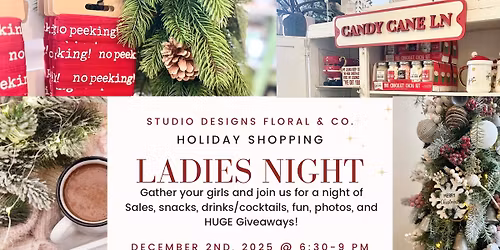 Annual Holiday Ladies Night
