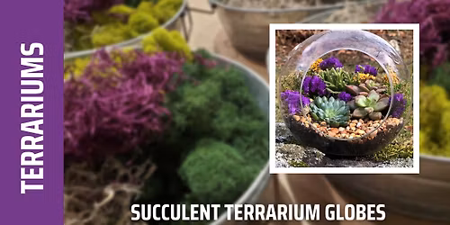 Succulent Terrarium Workshop (Mount Kisco)