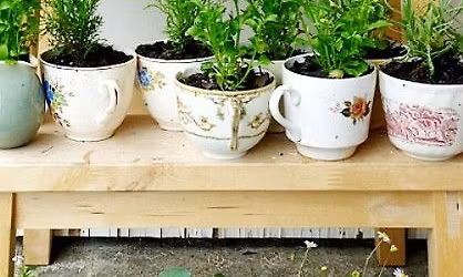 Tea Garden Series: Part One- Planning