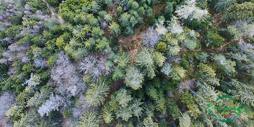 T\u00c9TRAIL AUBURE ACTE 3 \ud83d\ude01