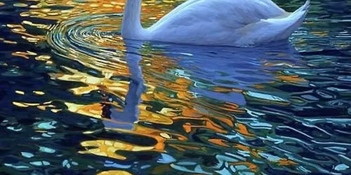 MAKE A RIPPLE: A Fundraiser for SWAN