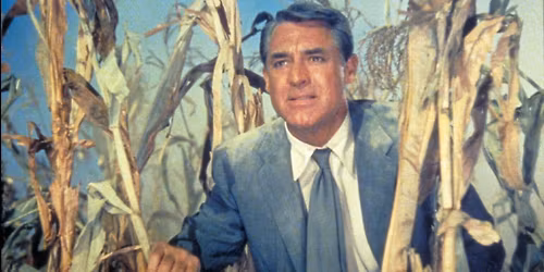 North by Northwest (1959) | A Case of the Mondays