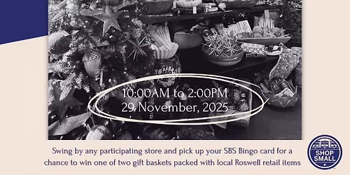 Roswell Small Business BINGO