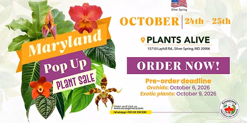 Maryland Pop up - Plant sale