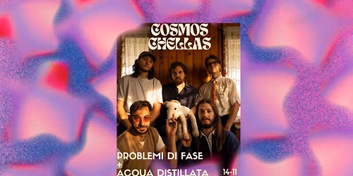 Live Problemi di fase + Acqua distillata