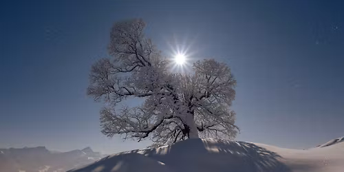 \u2744\ufe0f Winter Solstice Renewal: Breath, Sound, and the Return of Light\u2744\ufe0f