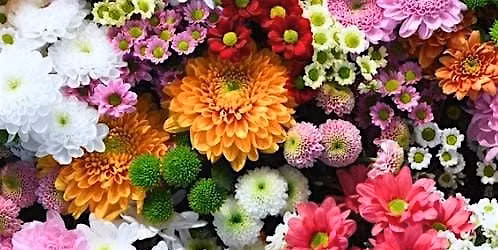 May Flowers