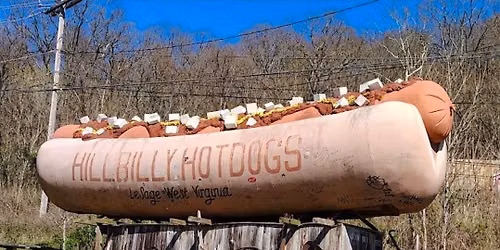 Hillbilly Hotdogs Overnight Take 2