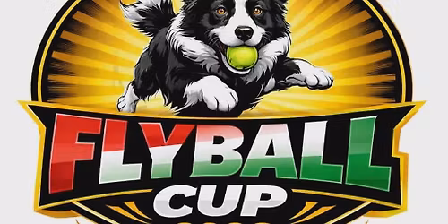 Hellodogs Flyball Cup 2026\ud83c\udfbe\ud83d\udc3e\ud83c\udfc6
