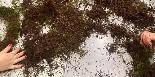 Christmas Wreath Making Workshop 