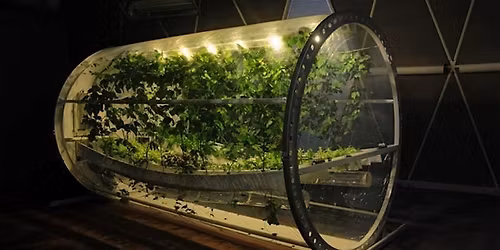 Anthropology of Life Support Systems: From Earth to Outer Space, and Back