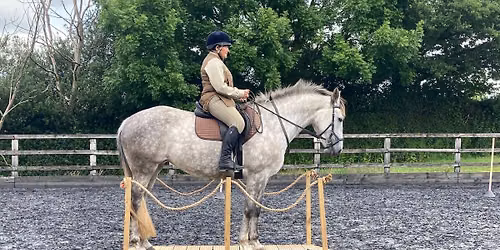 British Working Equitation SW Regional Competition at Courtway Equestrian, Clyst St Mary